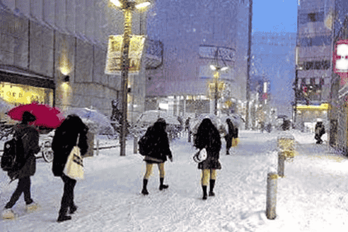 既保暖又塑形，冬天必備的藏肉神器